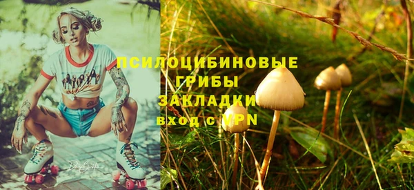 стаф Пестово