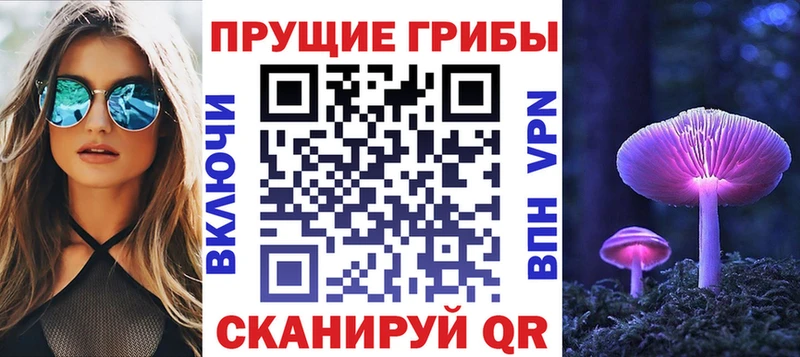 магазин продажи наркотиков Богданович Галлюциногенные грибы Psilocybine cubensis