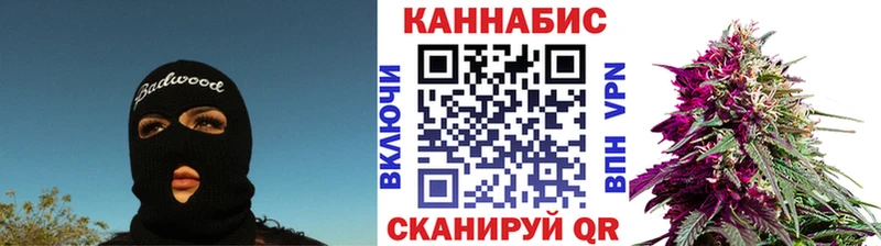 Конопля сатива  Богданович 